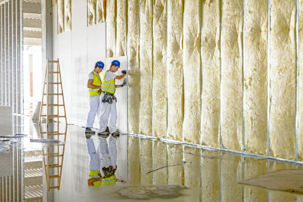 Best Insulation Maintenance and Repair in Pine Hills, CA